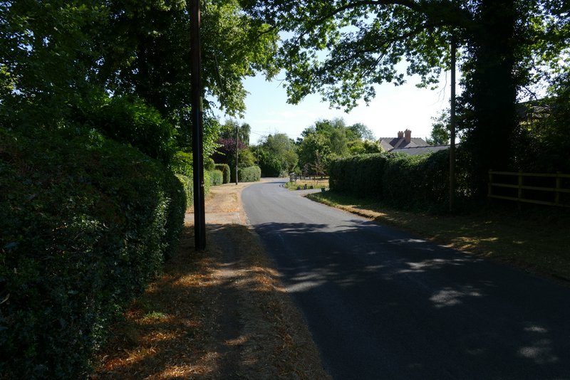 Pete's Walks Whitchurch Hill, College Wood, Mapledurham (page 1 of 5)